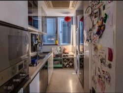 Angullia Park Residences @ Orchard (D10), Apartment #593785891
